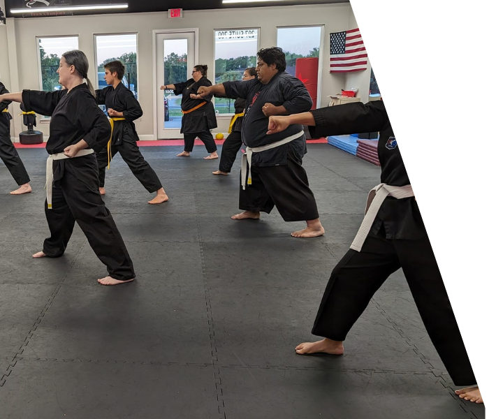 Adult Karate Class